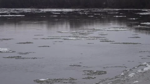 Ice floes float in river. Stock Footage 297062885