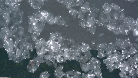Ice floes floating on river Stock Footage 72647018