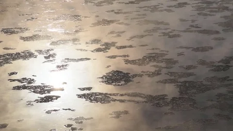 Ice floes floating on river Stock Footage 72647071