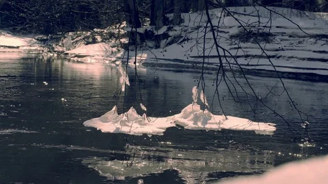 The ice floes hanging on the branches of a tree low over the water of a forest Stock Footage 87884641