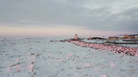 Ice Floes &amp; Lighthouse in Arisaig, Nova Scotia Stock Footage 196135355