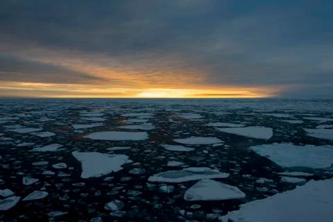 Ice floes Stock-Fotos