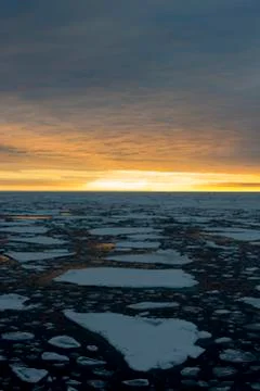 Ice floes Stock Photos