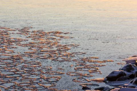 Ice floes Stock Photos