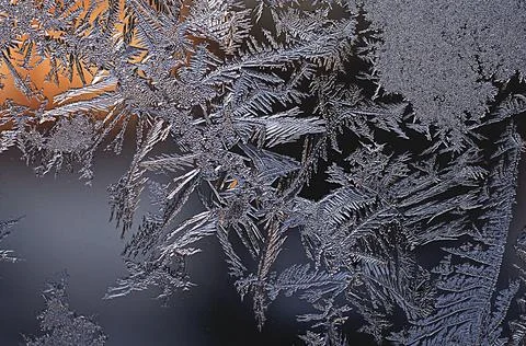 Ice floral pattern on window in a cold winter day Stock Photos