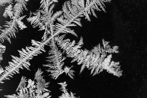 Ice flower surface Stock Photos