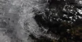 Ice Flowers Cold Winter Frost River Frosty Temperature Icy Texture Structure Day 4k or 4k+ Resolution