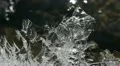 Ice Flowers Frozen Water Pattern Creek Fresh Icy Decoration Cracked Texture Cold HD Footage
