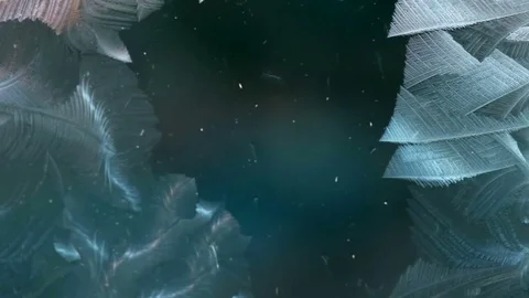 Ice flowers pattern forming on glass surface Video stock 71786491