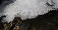 Ice Flowers Texture Frozen Water Crystals Winter Background Xmas Holiday Concept 4k or 4k+ Resolution