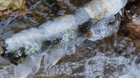 Ice 스톡 동영상 329968588