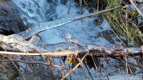 Ice 스톡 동영상 329968595