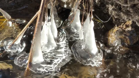 Ice 스톡 동영상 329968622