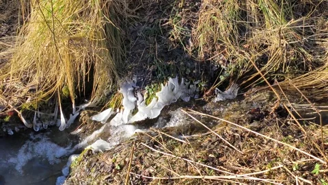 Ice 스톡 동영상 329968623