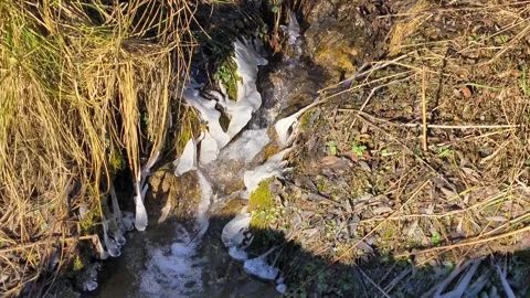 Ice 스톡 동영상 329968625