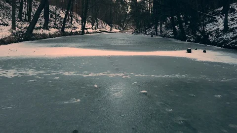 Ice Forest 3 Stock Footage 89099333