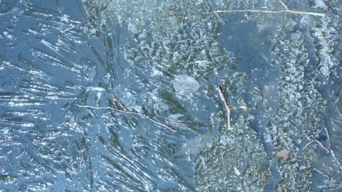 Ice on the forest lake Stock Footage 110772429