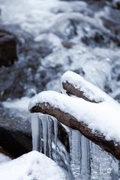 Ice forest Stock Photos