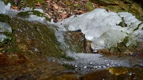 Ice in forest stream thawing in spring Stock-Footage 88871384