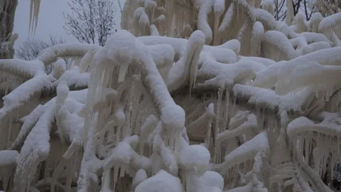 Ice formations and winter landscape in a snowy park near a tree in the afternoon Stock Footage 343508576