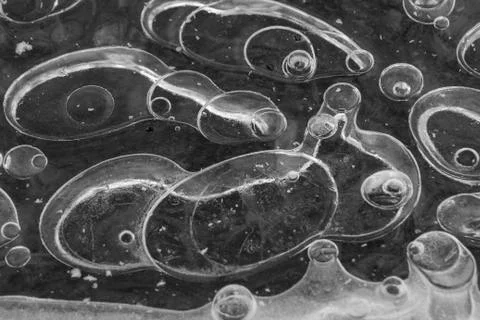 Ice forms Stock Photos