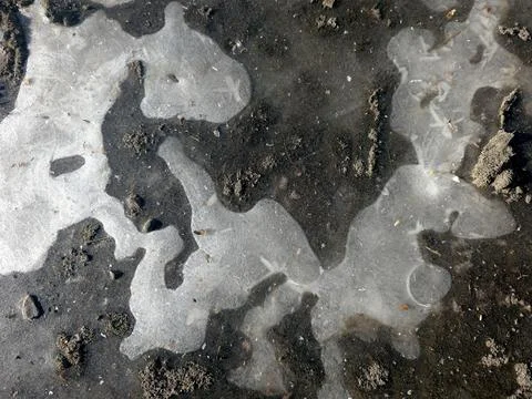 Ice Forms a Thin Layer Above the Ground, Showing Dirt Patterns Below 写真素材
