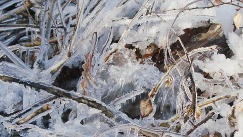 Ice forms as water in a stream gushes upward, slomo, 4k Stock Footage 166118739