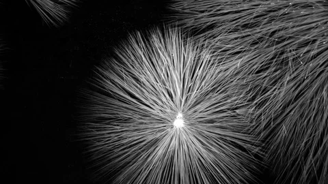 Ice Freezing with Black Background Stock Footage 74734413
