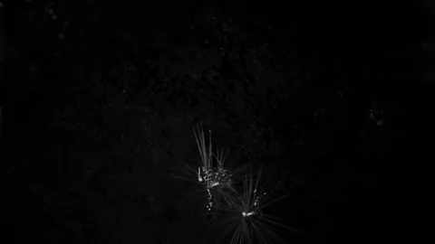 Ice Freezing with Black Background Stock Footage 74734775