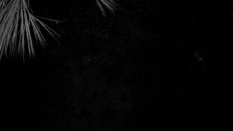 Ice Freezing with Black Background Stock Footage 74735065
