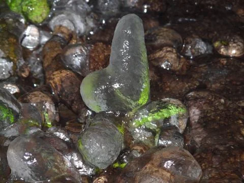 Ice gallery Stock Photos