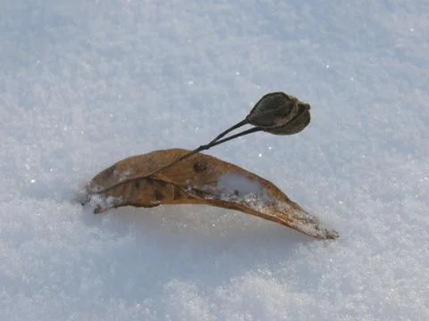 Ice gallery Stock Photos