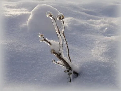 Ice gallery Stock Photos