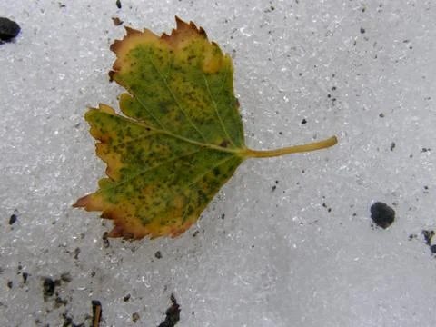 Ice gallery Stock Photos