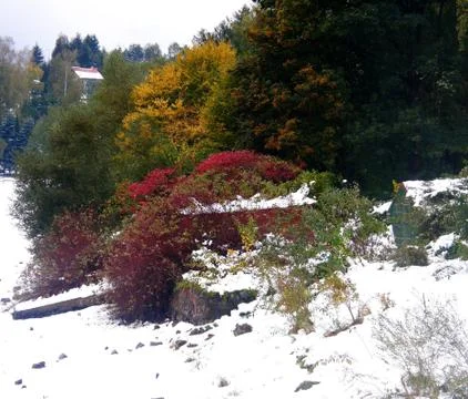 Ice gallery Stock Photos