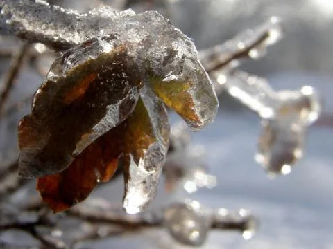 Ice gallery Stock Photos