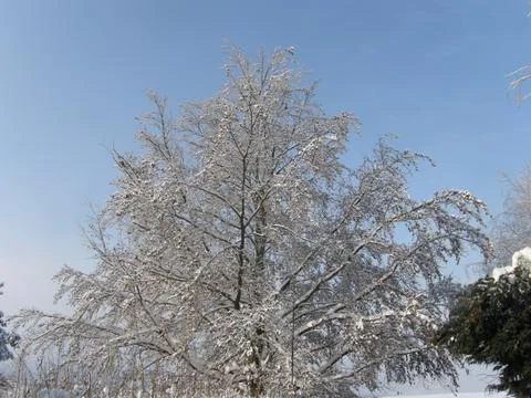 Ice gallery Stock Photos