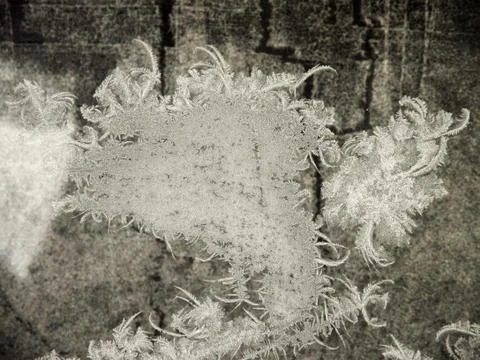 Ice gallery Stock Photos