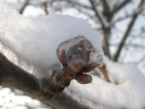 Ice gallery Stock Photos