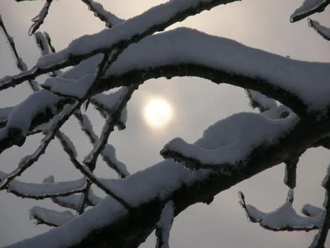 Ice gallery Stock Photos