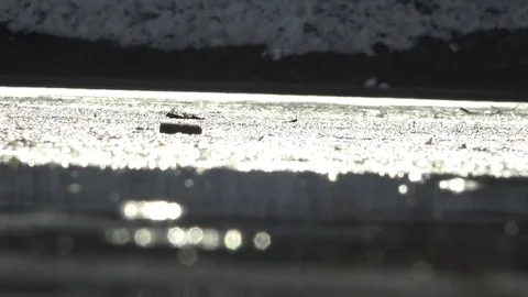 The ice glitters on the water Vídeo Stock 74391126