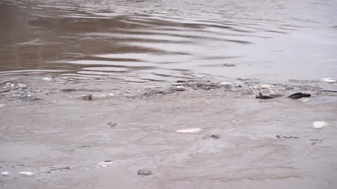 Ice goes down the river during a flood on the Belaya River in Ufa. Stock Footage 279396494
