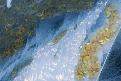 Ice Gold Stock Photos
