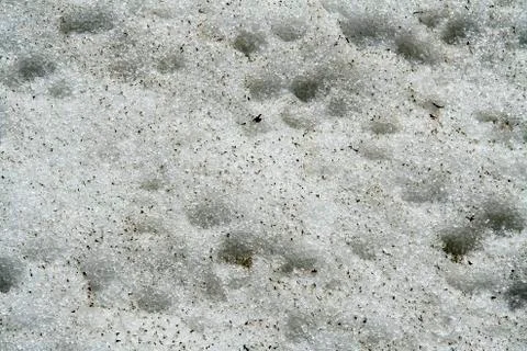 Ice grains Stock Photos