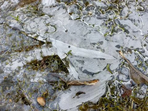 Ice on the ground in winter Stock Photos