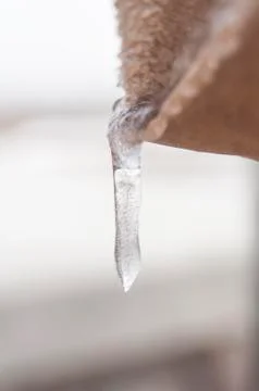Ice is Hanging in There Stock Photos