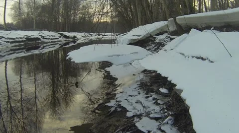 Ice hanging from tree branches Stock Footage 46364440