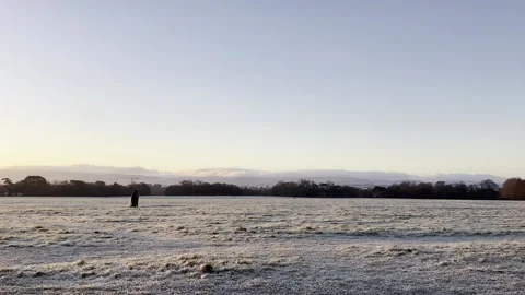 Ice hits Phoenix Park in Dublin as cold snap arrives Video stock 296813468