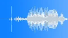 ICE Hockey puck hit rink 02 Sound Effect