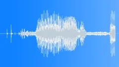 ICE Hockey puck hit rink 05 Sound Effect